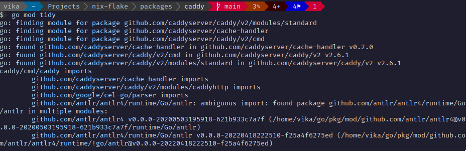 Output of the "go mod tidy" command, showing an error caused by ambiguous import in some package downstream.